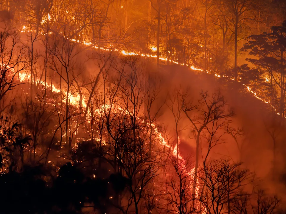 Southern California Wildfires Cause $52B in Damages